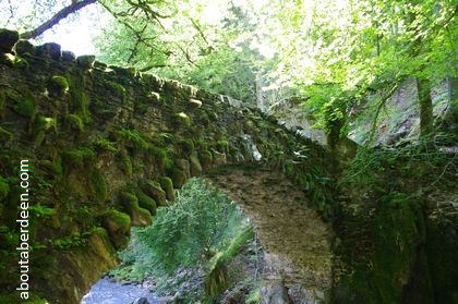 1770 stone bridge covered moss with trees background
