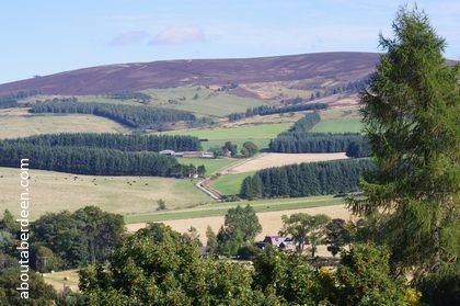 Aberdeen website