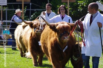 Agricultural Show