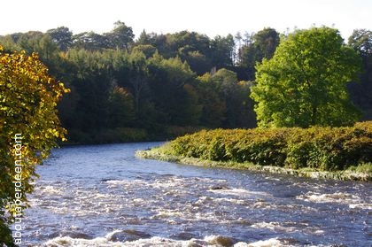 Bend in River