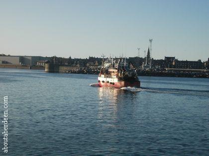 Bringing In The Catch