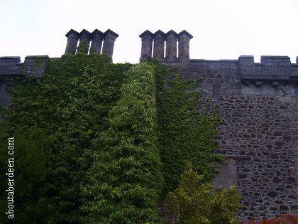Castle Chimneys