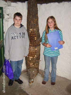 Crocodile Carving