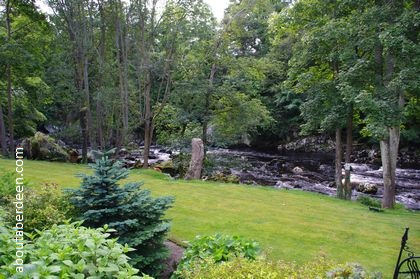 Forest River Dee