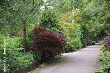Garden Walk