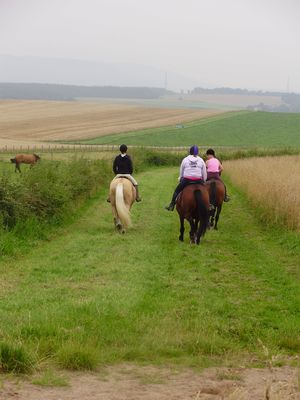 Horse Riding Aberdeen