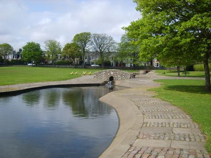 Paddling Pool