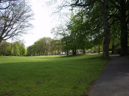 Park Lawn
