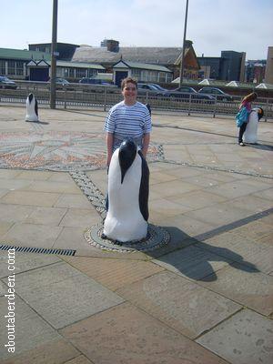 Penguin Statues Dundee
