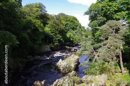 Trees River Dee