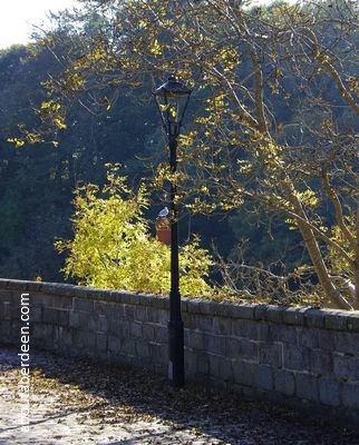 Victorian lamp post