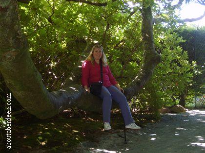 Woodland Walk