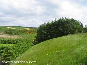 Aberdeenshire Countryside