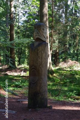 carved totem pole in forest