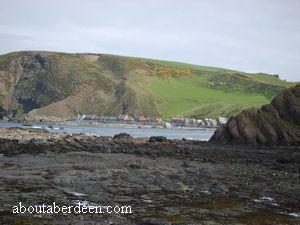 Crovie