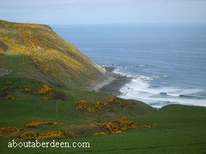 Gardenstown Cliffs