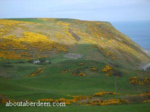 Gardenstown Hills