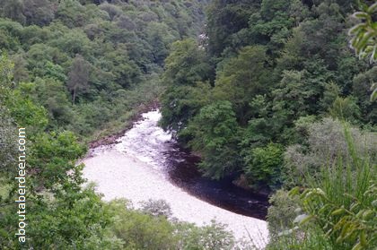wooded gorge with river