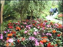 Britain In Bloom Aberdeen