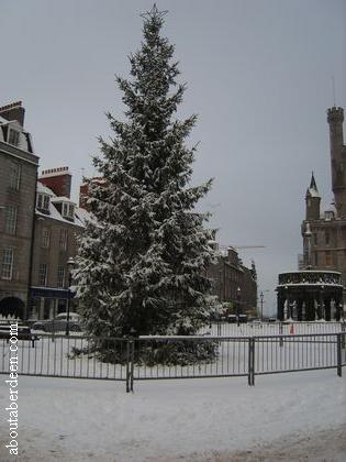 Aberdeen Christmas Tree