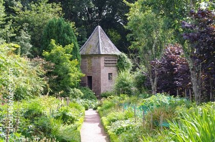 Castle Wall Garden