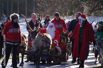 Father Christmas pulled on sleigh by reindeer in woods with snow
