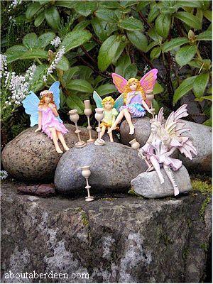 fairy goblets