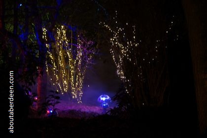 night light show in forest trees