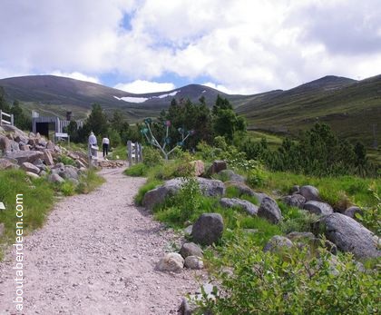 path to cairngorm mountain