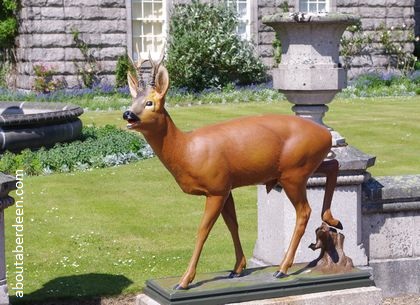 roe deer statue