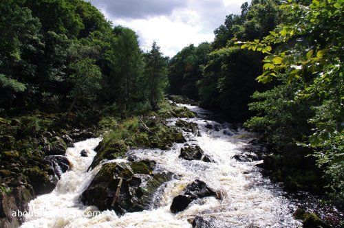 Falls of Feugh Photo